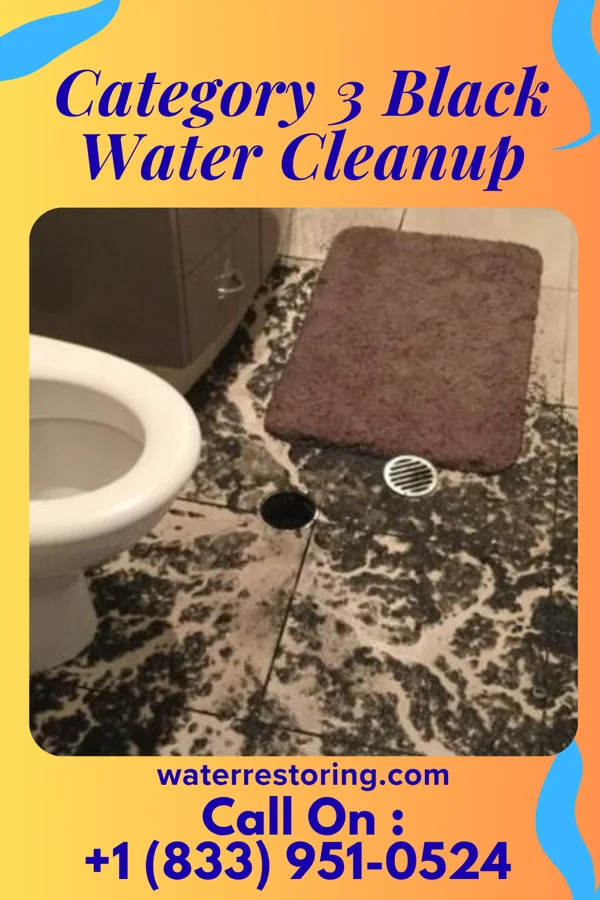 Category 3 Black Water Cleanup in Tilden, NE