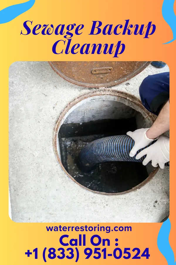 Sewage Backup Cleanup in Tilden, NE