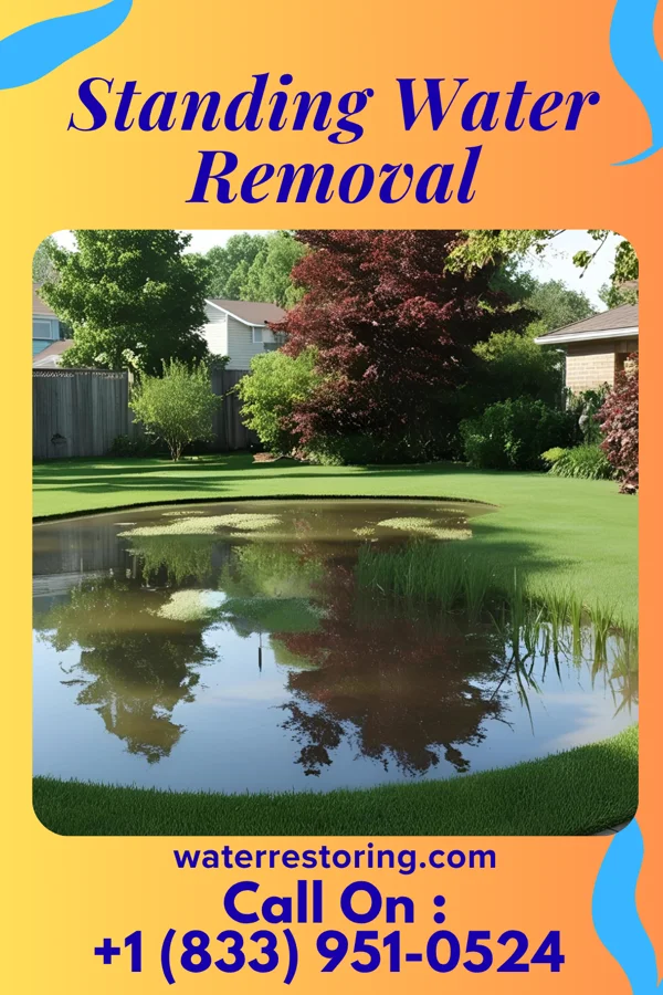 Standing Water Removal in Tilden, NE